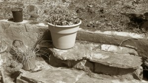 2011-05-18_10-44-13_239