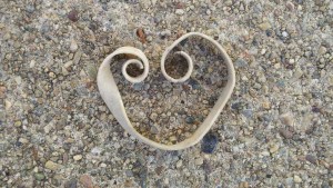 2011-12-14_10-24-39_763