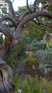 2012-02-04_17-37-39_118